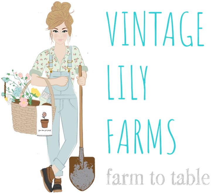 Vintage Lily Farms