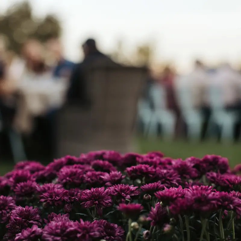 Purple mums in the foreground with dinner guests softly blurred behind