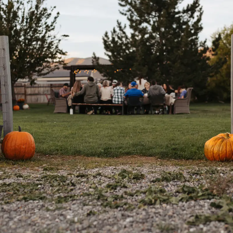 Pumpkins and potted mums at the gate, with the dinner table on the lawn behind