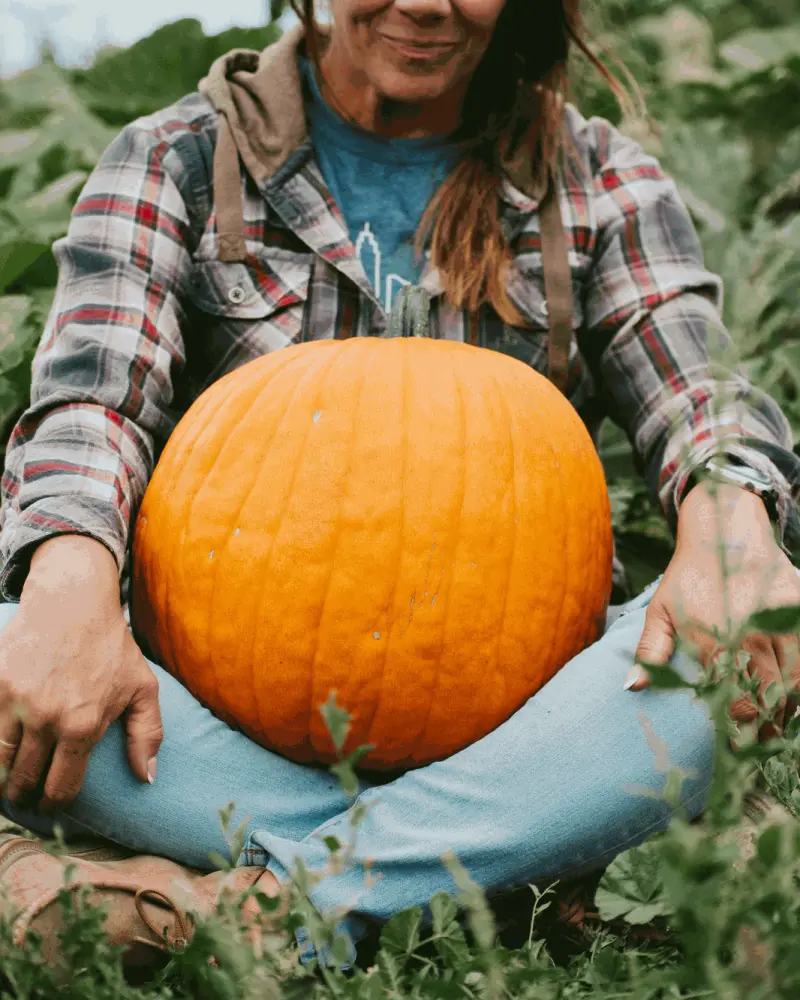 Sitting cross-legged in the pumpkin patch with a big orange pumpkin