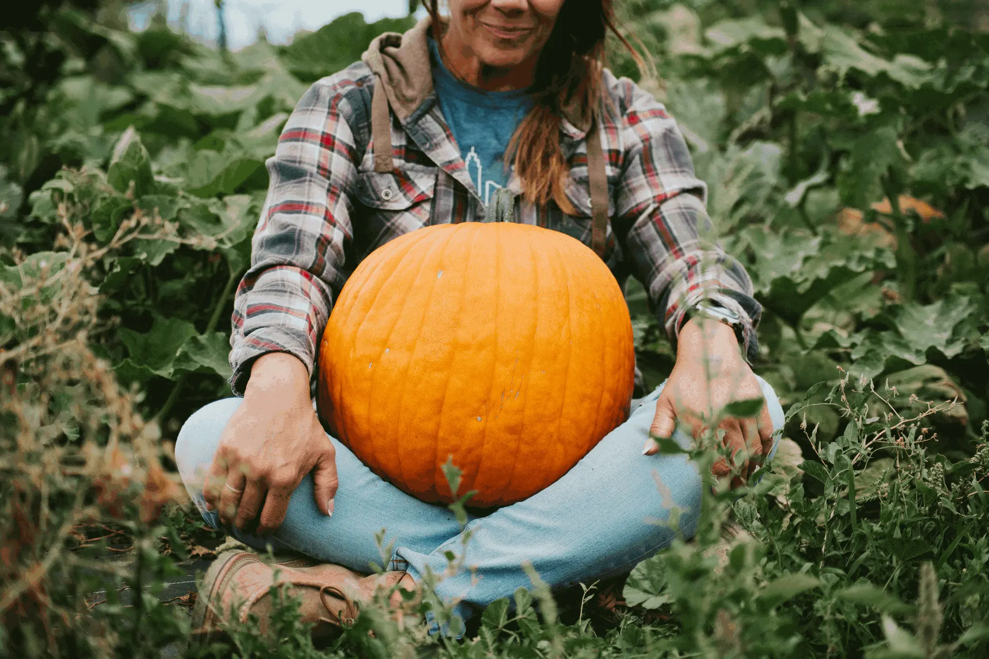 Sitting cross-legged in the pumpkin patch with a big orange pumpkin
